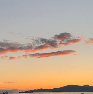 Meet your Posher, Delia